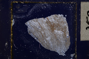 Cross Polarized, E22000