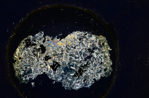 Cross Polarized, E22002