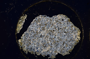 Cross Polarized, E22003