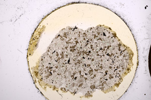 Plane Polarized, E22003