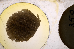 Plane Polarized, E22012