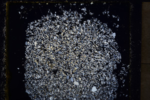 Cross Polarized, E22020