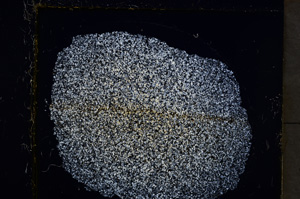 Cross Polarized, E22022