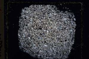 Cross Polarized, E22024