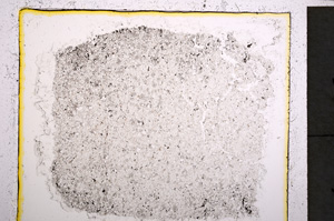 Plane Polarized, E22026