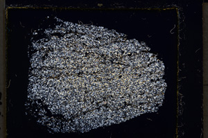 Cross Polarized, E22027