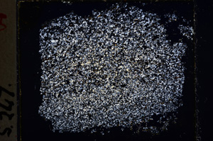 Cross Polarized, E22029