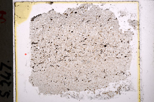 Plane Polarized, E22029