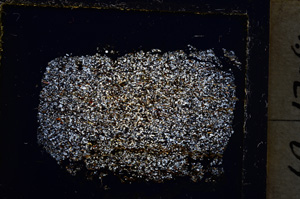 Cross Polarized, E22030