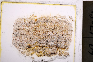 Plane Polarized, E22030