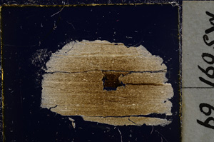 Cross Polarized, E22031