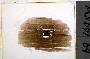 Plane Polarized, E22031