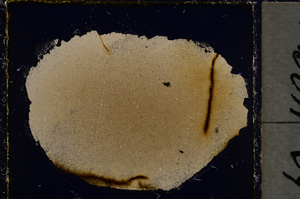 Cross Polarized, E22032