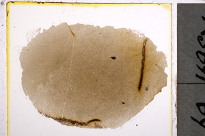 Plane Polarized, E22032