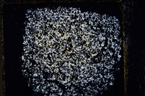 Cross Polarized, E22034