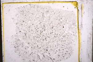 Plane Polarized, E22034