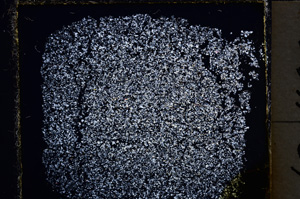 Cross Polarized, E22035