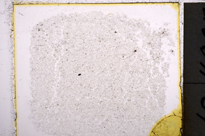 Plane Polarized, E22035