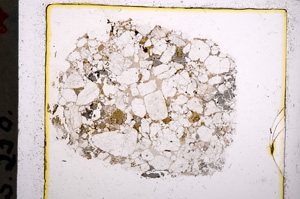 Plane Polarized, E22038