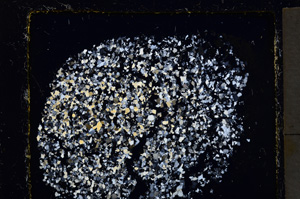 Cross Polarized, E22039