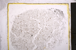 Plane Polarized, E22039