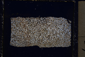 Cross Polarized, E22046