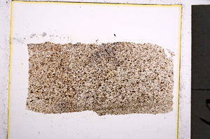 Plane Polarized, E22046