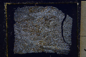 Cross Polarized, E22048