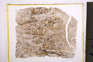 Plane Polarized, E22048