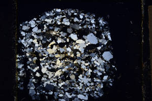 Cross Polarized, E22050