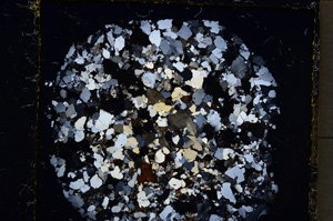 Cross Polarized, E22051