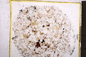 Plane Polarized, E22051