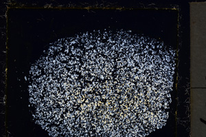 Cross Polarized, E22052