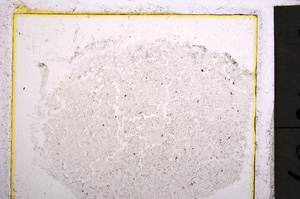 Plane Polarized, E22052