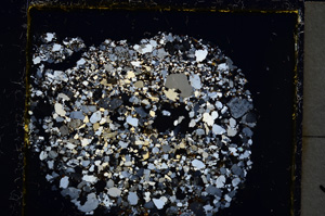 Cross Polarized, E22055