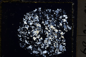 Cross Polarized, E22056