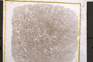 Plane Polarized, E22062