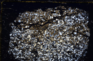Cross Polarized, E22070