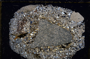 Cross Polarized, E22073