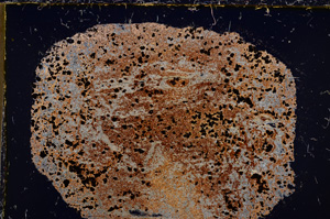 Cross Polarized, E22075