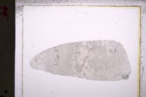 Plane Polarized, E22110