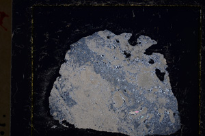 Cross Polarized, E22111