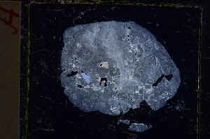 Cross Polarized, E22114