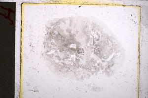 Plane Polarized, E22114