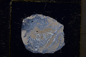 Cross Polarized, E22115