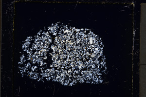 Cross Polarized, E22119