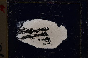 Cross Polarized, E22148