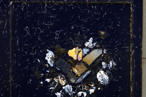 Cross Polarized, E22158