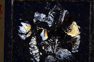 Cross Polarized, E22159