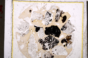 Plane Polarized, E22159